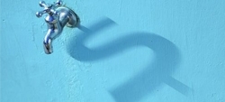 agua cifrao